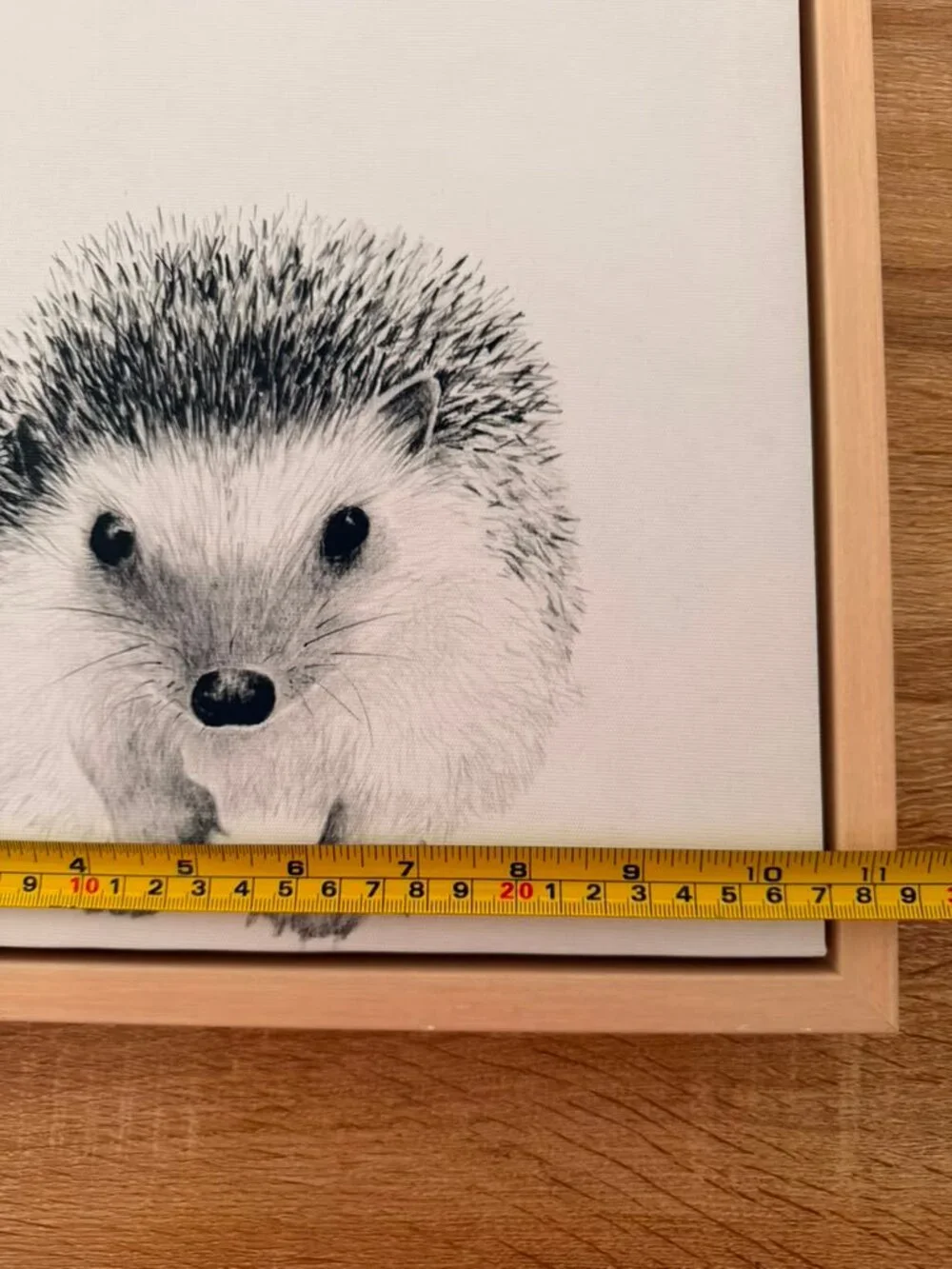 Baby Animal Framed Canvas Wall Art Set Elephant Giraffe Hedgehog 11x14